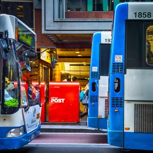 busses in George St-_tn