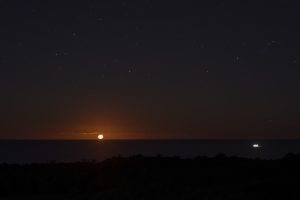 moon rise-