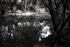 Mullum_water_RW1_6712_wp