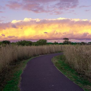 sunsetpath-0004_wp