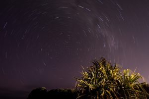 startrails-0495_wp