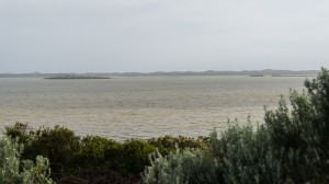 Coorong-2604_wp