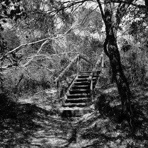 DSCF4963 - ladder to the oasis - bw_wp