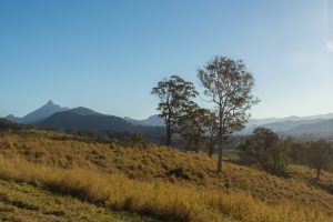 RW4_0522 Mt Warning_wp