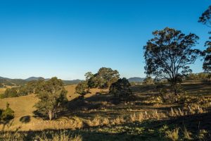 RW4_0528 Mt Warning -ish_wp