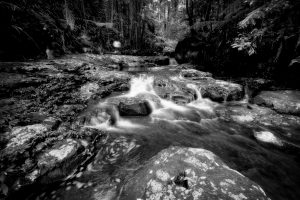 XT118327 creek_r