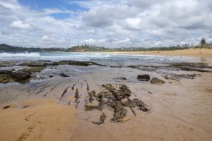 _XT17399 Mona Vale beach 20160123_r