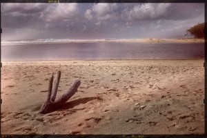 _X109828_ANALOG projects_r